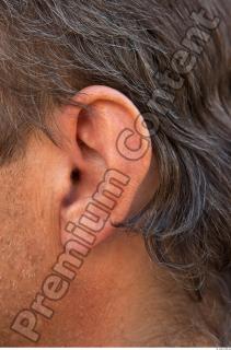 Ear texture of street references 342 0001